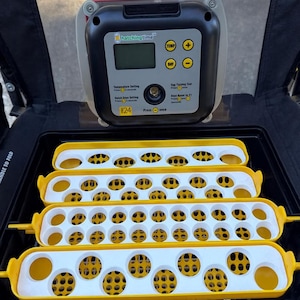 Könnte beinhalten: Ein Eierinkubator mit einem digitalen Bedienfeld mit der Aufschrift "hatchingtime". Der Inkubator hat eine schwarze Basis mit gelben und weißen Eierschalen. Das Bedienfeld zeigt Temperatur- und Tageeinstellungen an. Das Bild zeigt das Innere.