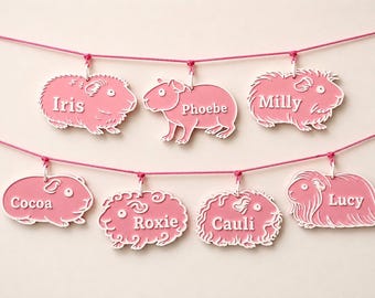 Puede incluir: Una guirnalda decorativa con seis adornos rosas en forma de cobaya que cuelgan de dos cuerdas rosas. Cada adorno tiene grabado un nombre: Iris, Phoebe, Milly, Cocoa, Roxie, Cauli y Lucy, con letras blancas sobre un fondo de color rosa.
