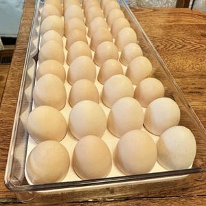 Bantam Chicken Egg Tray Inserts (20 Count)
