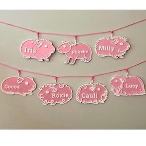 Custom Guinea Pig - Cavy Name Tag- Cage Decor Sign - Personalized Wall Art - Gift