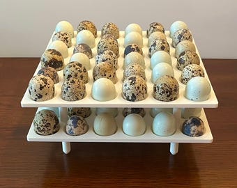 Stackable Standard/Jumbo Quail Egg Holder Storage Tray (36 Count)