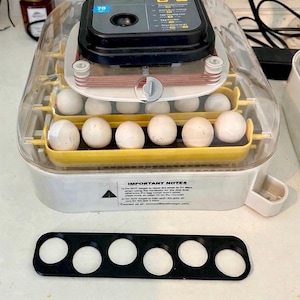 Maticoopx Incubator BANTAM Chicken Egg Rack- Incubator Insert - Serama - Old English - Silkie