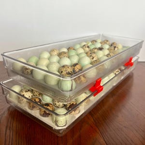 Interested in stacking?
Combine and Save with NEW Stacking Accessory Set for Quail Egg Storage Tray Insert (30 Count). 

www.etsy.com/listing/4303074297/stacking-accessory-for-quail-egg-storage