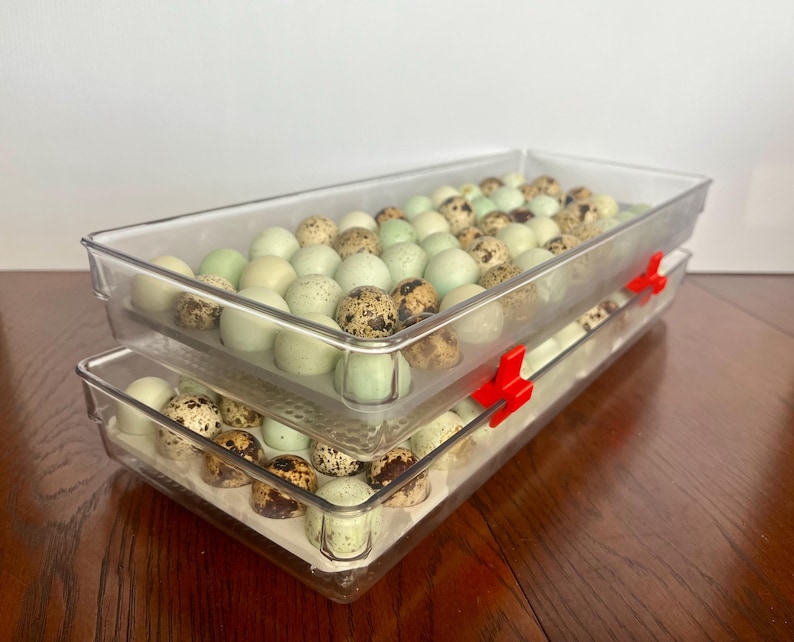 Interested in stacking?
Combine and Save with NEW Stacking Accessory Set for Quail Egg Storage Tray Insert (30 Count). 

www.etsy.com/listing/4303074297/stacking-accessory-for-quail-egg-storage