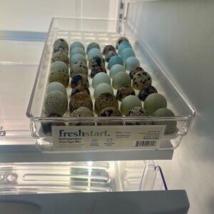 May include: A clear plastic refrigerator storage bin filled with quail eggs. The bin is labeled "freshstart. Refrigerator Storage Bin 16.9 in x 9.4 in x 2.1 in" and "BPA Free".