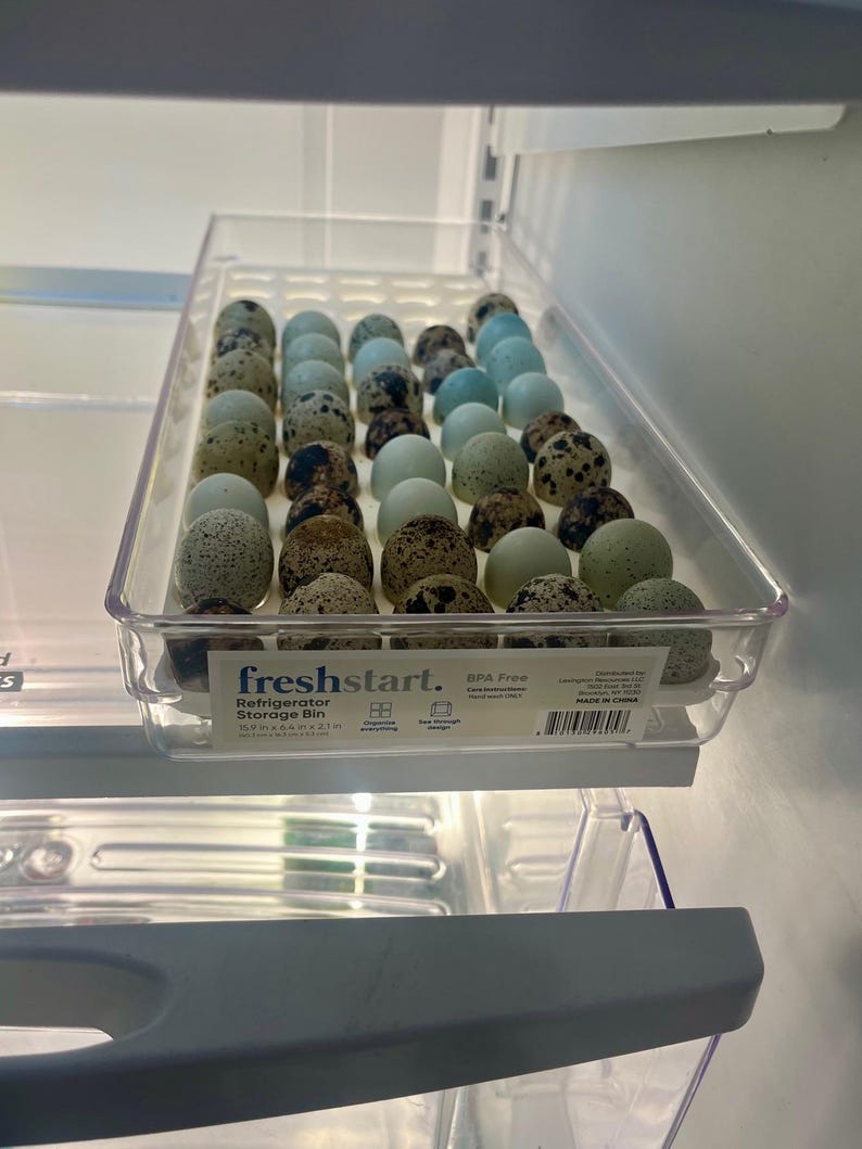 May include: A clear plastic refrigerator storage bin filled with quail eggs. The bin is labeled "freshstart. Refrigerator Storage Bin 16.9 in x 9.4 in x 2.1 in" and "BPA Free".