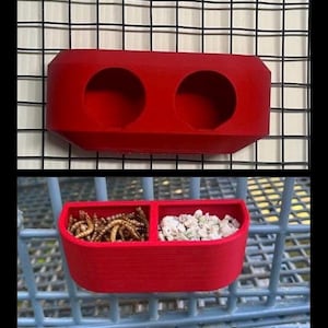 Hanging Quail Treat Holder- Hatching Time and Wire Cage Options