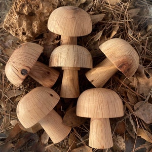 Könnte beinhalten: Sechs hölzerne Pilzfiguren, die in einem Kreis auf einem Bett aus braunen Kiefernnadeln und Blättern angeordnet sind. Die Pilze sind alle unterschiedlich groß und haben eine natürliche Holzoptik.