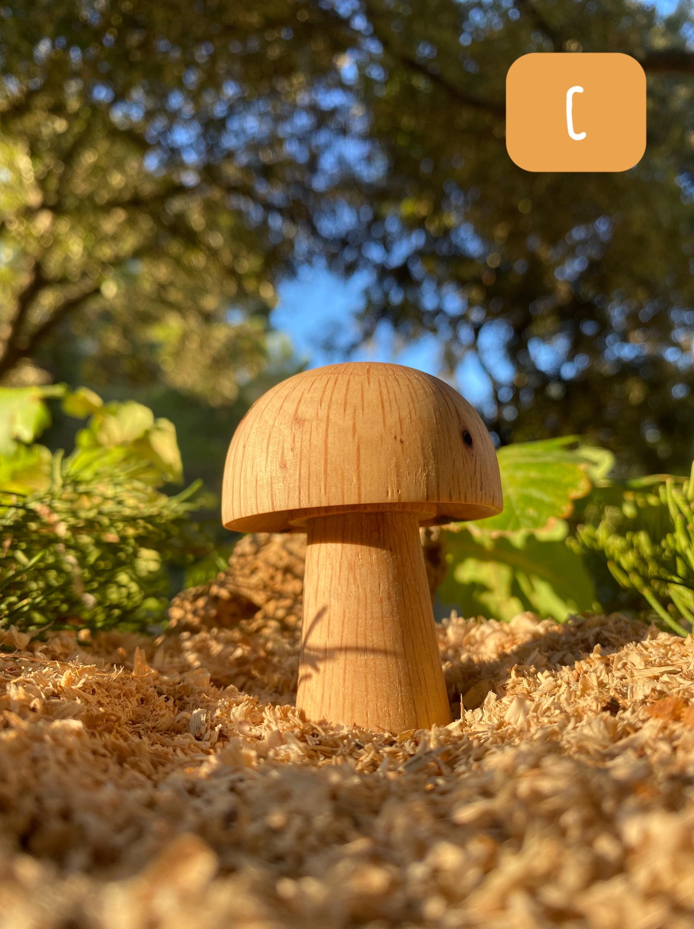 Decoration Champignon En Bois
