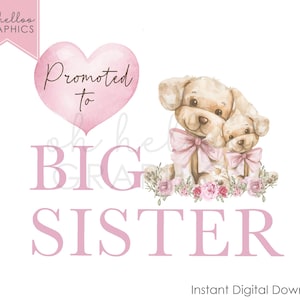 Promovido a irmã mais velha PNG Clipart, Anúncio de bebê de cachorrinho fofo, Revelação de gênero, É uma menina, Design de passar a ferro, Imagem Uvdtf Dtg Graphic