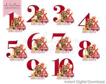Firefighter Teddy Bear Birthday Number Clipart (Digital Download)