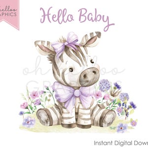 Ciao Baby Zebra PNG Clipart, sublimazione lilla nuovo arrivo Zebra Download digitale Design Safari Baby Vest Card Bib T-shirt Keepsake Design