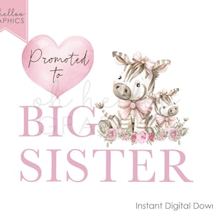 Clipart PNG "Promosso a sorella maggiore", Annuncio di nascita "Zebra Safari", Rivelazione del sesso del bambino, È femmina, Disegno da stirare, Immagine UVDTF grafica DTG