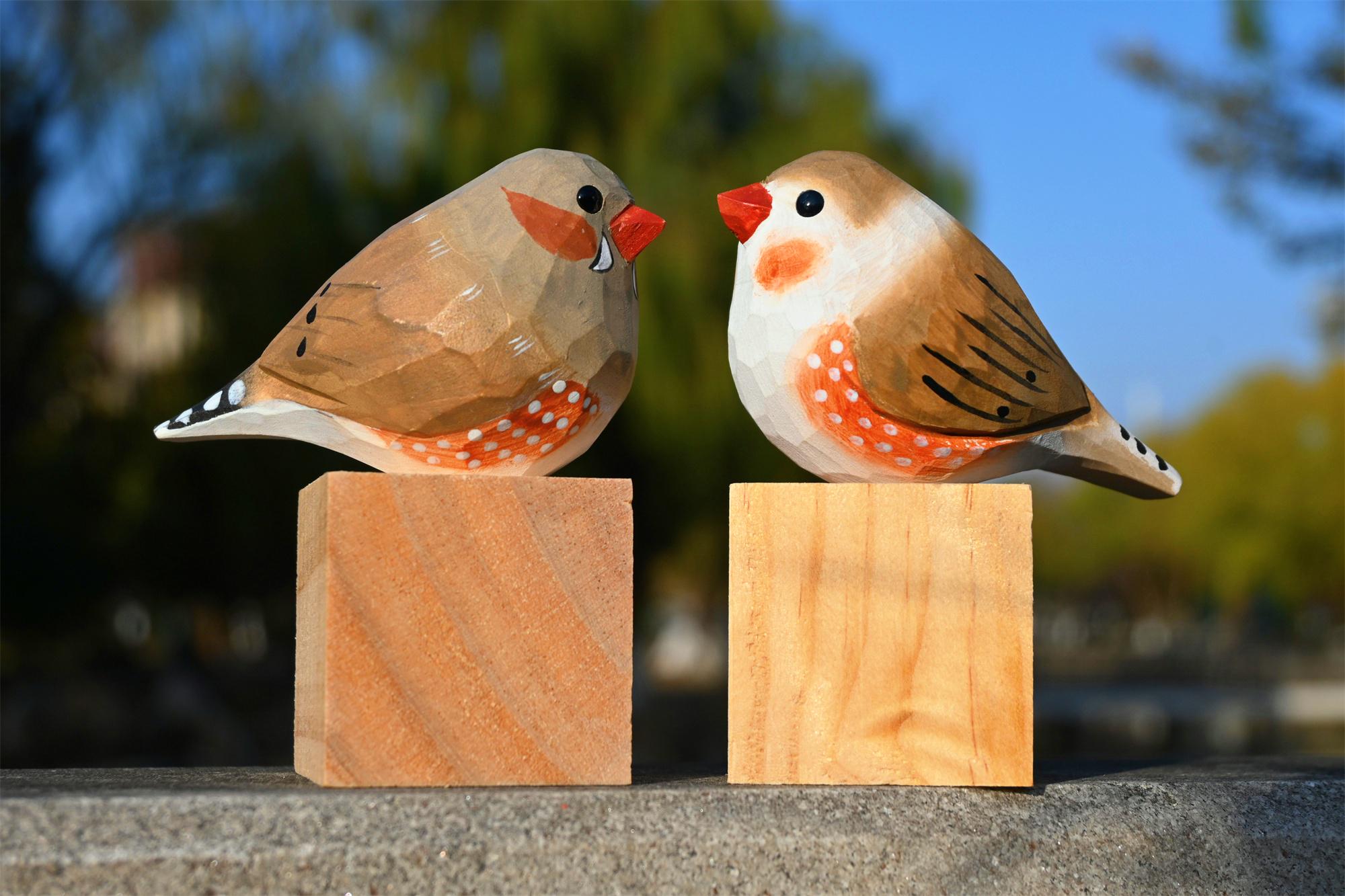 Zebra Finch Art