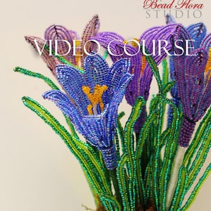 VIDEO Class - Französische Perlen Krokus Anleitung pdf download