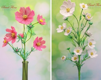 PDF- French beaded cosmos