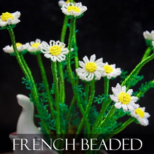Video Class - French beaded chamomile