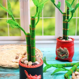 Video Klasse - Französischer Perlen Lucky Bamboo
