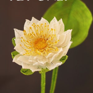 Może przedstawiać: Biały kwiat z koralików z żółtym środkiem, przypominający lilie wodne, w przezroczystym szklanym wazonie z brązową podstawą. Kwiat znajduje się na zielonej łodydze i ma zielony liść z tyłu. Tekst "PDF ONLY" znajduje się w górnej części obrazu.