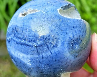 Rare Blue Corral Fossil Sphere