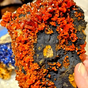 May include: A close-up of a mineral specimen featuring vibrant orange crystals clustered on a dark, textured matrix. The crystals have a crystalline structure, and the matrix has patches of yellow and orange.