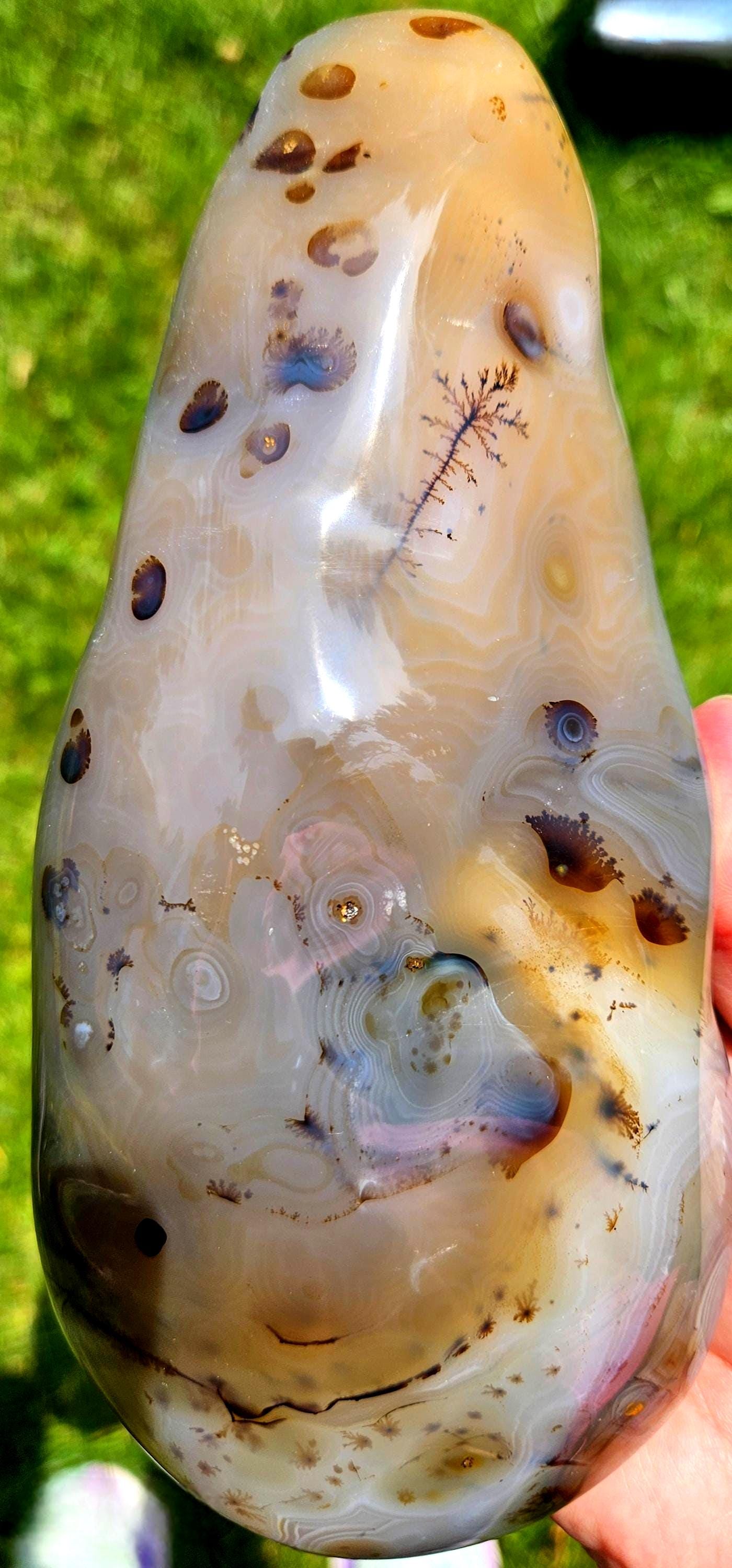 Large Aquatic Plant Agate