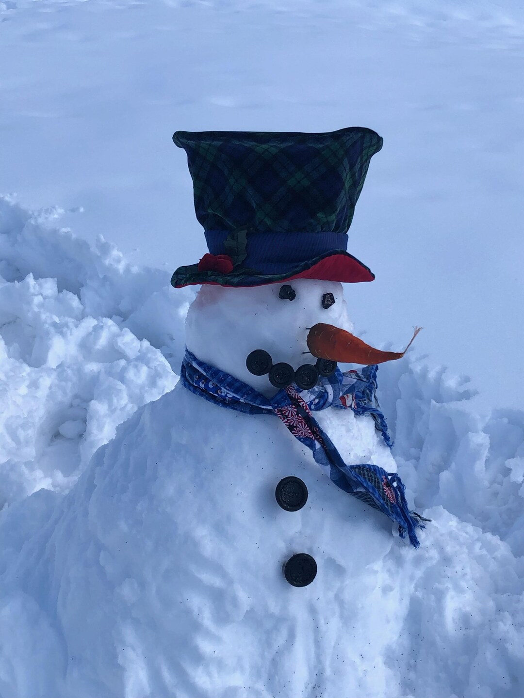 Custom Snowman Kit - Etsy