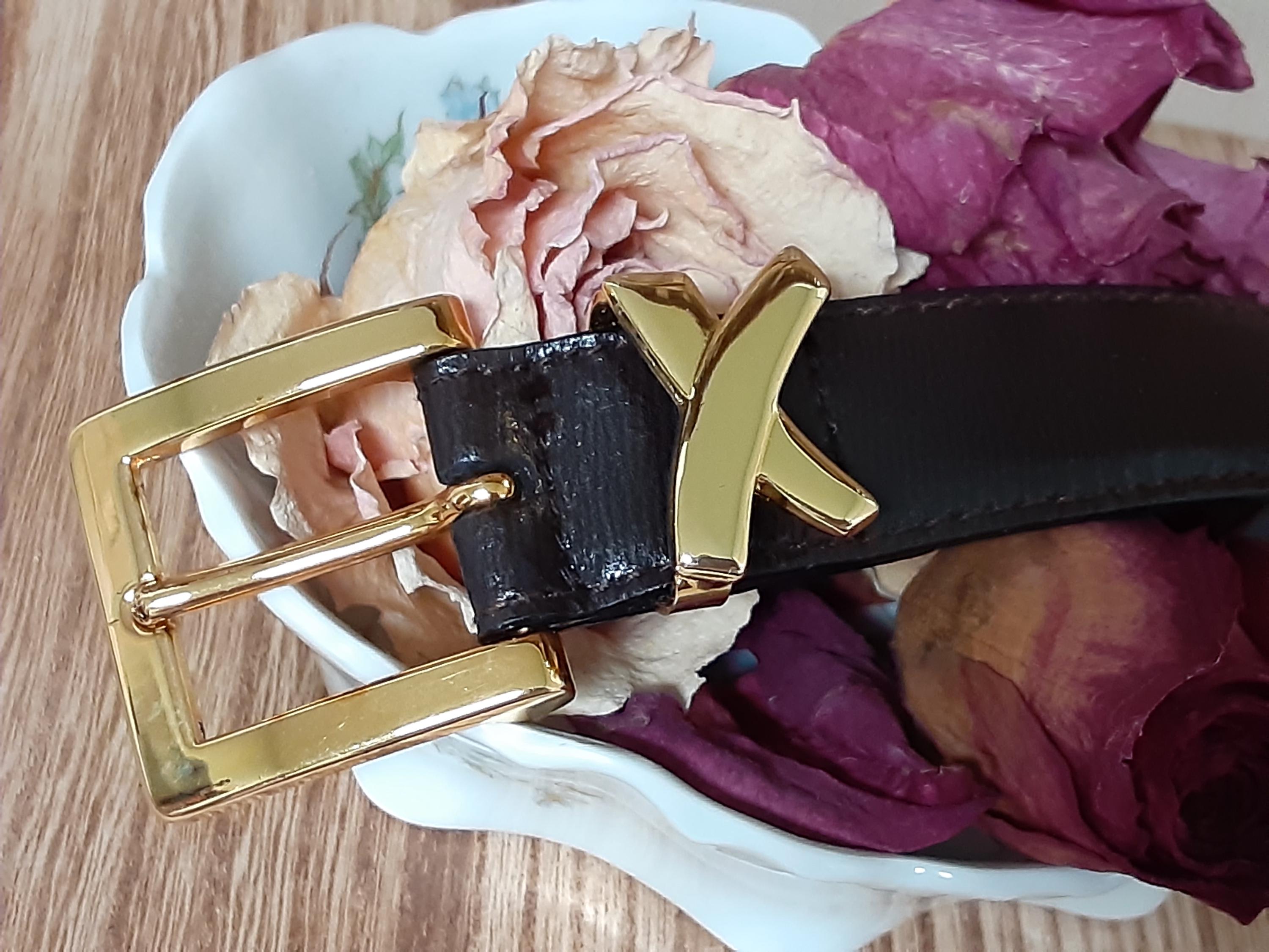 NEW Women Paloma Picasso Brown Leather Belt Gold Buckle Size 