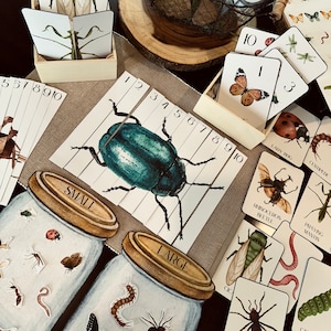 May include: An educational insect-themed learning set featuring cards with illustrations of beetles, butterflies, and spiders, numbered puzzle strips, and two illustrated jars labeled Small and Large for sorting various insect cutouts.