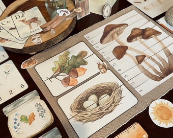 Nature Morning Basket Activity, Homeschool Unit, Nature Flashcards, Montessori Learning, Nature Unit Study