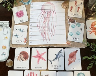 Oceanography Morning Basket Activity, Homeschool Unit, Ocean Animals Flashcards, Montessori Learning, Ocean Life Unit Study