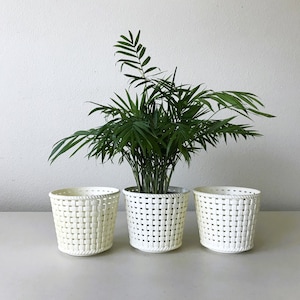 May include: Three white woven plant pots, one holding a green plant. The pots are arranged in a row, with the plant in the center. The pots have a basket-like weave design, and the plant has long, thin leaves.