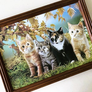 May include: A framed print of four kittens in a grassy field. The kittens are looking at the camera. The kittens are a calico, a tabby, a white and orange, and a gray and white.