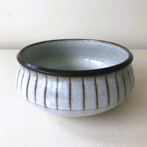 May include: A ceramic bowl with a light blue speckled interior and a dark brown rim. The exterior features vertical, textured lines. This decorative bowl is suitable for serving or display.