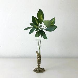 May include: A clear glass vase with a gold-colored, ornate base and stem, holding a green plant with large, oval leaves. The vase is centered on a white surface against a white wall.