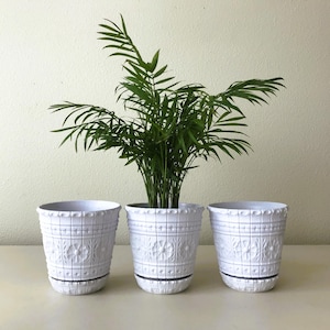 May include: Three white decorative plant pots with a detailed embossed design. The pots are arranged in a row, with a green plant in the center pot. The pots have a black base and are sitting on a light-colored surface.