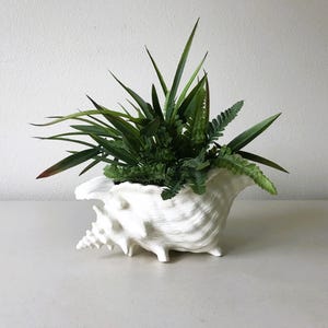 Vintage Seashell Planter - Ceramic Conch Shell Seashell Vase - Nautical Coastal Beachy Plant Holder