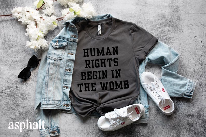 Human Rights Begin In The Womb Tshirt Bella Canvas University Style Font for Pro-Life and WomensRights Republican Tshirt Save the Babies Tee