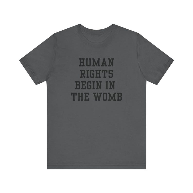Human Rights Begin In The Womb Tshirt Bella Canvas University Style Font for Pro-Life and WomensRights Republican Tshirt Save the Babies Tee
