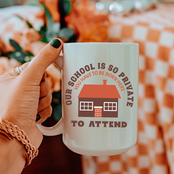 Funny Homeschool Ceramic Mug, Gift for Homeschool Mom and Dad, Home Educator Gift, Mothers Day Gift for Homeschoolers