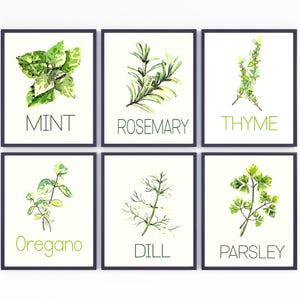 Kitchen Herbs Watercolor Art Prints: Rosemary, Mint, Thyme (Digital Download)