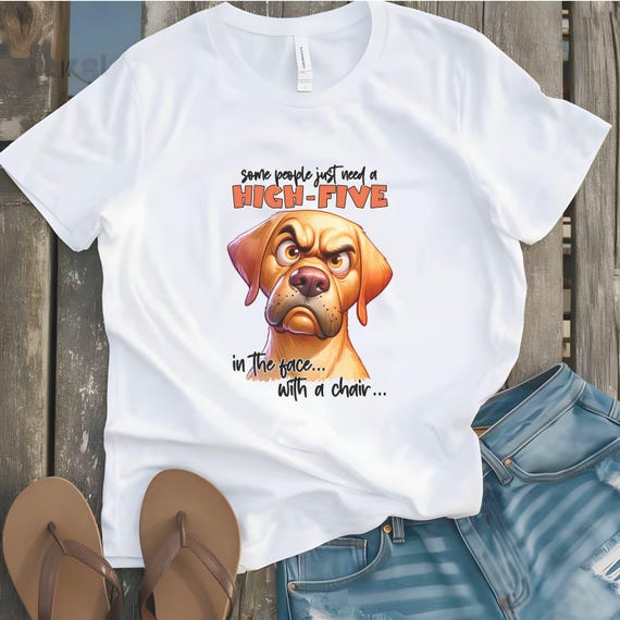 Funny Dog Lover T-Shirt - "Some People Need a High-Five in the Face with a Chair" Graphic Tee, Sarcastic T-shirt, Gift for Birthday, him/her