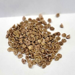 チェコガラスフラワーカップビーズ 7 x 5 mm ローマンローズ ピカソ仕上げ (10グラム入り)
