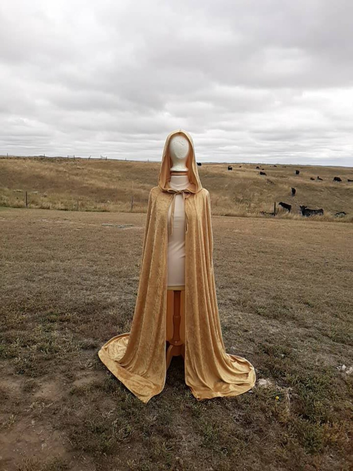 Hooded Gold Velvet Cloak Halloween Costume Wedding Renaissance Etsy