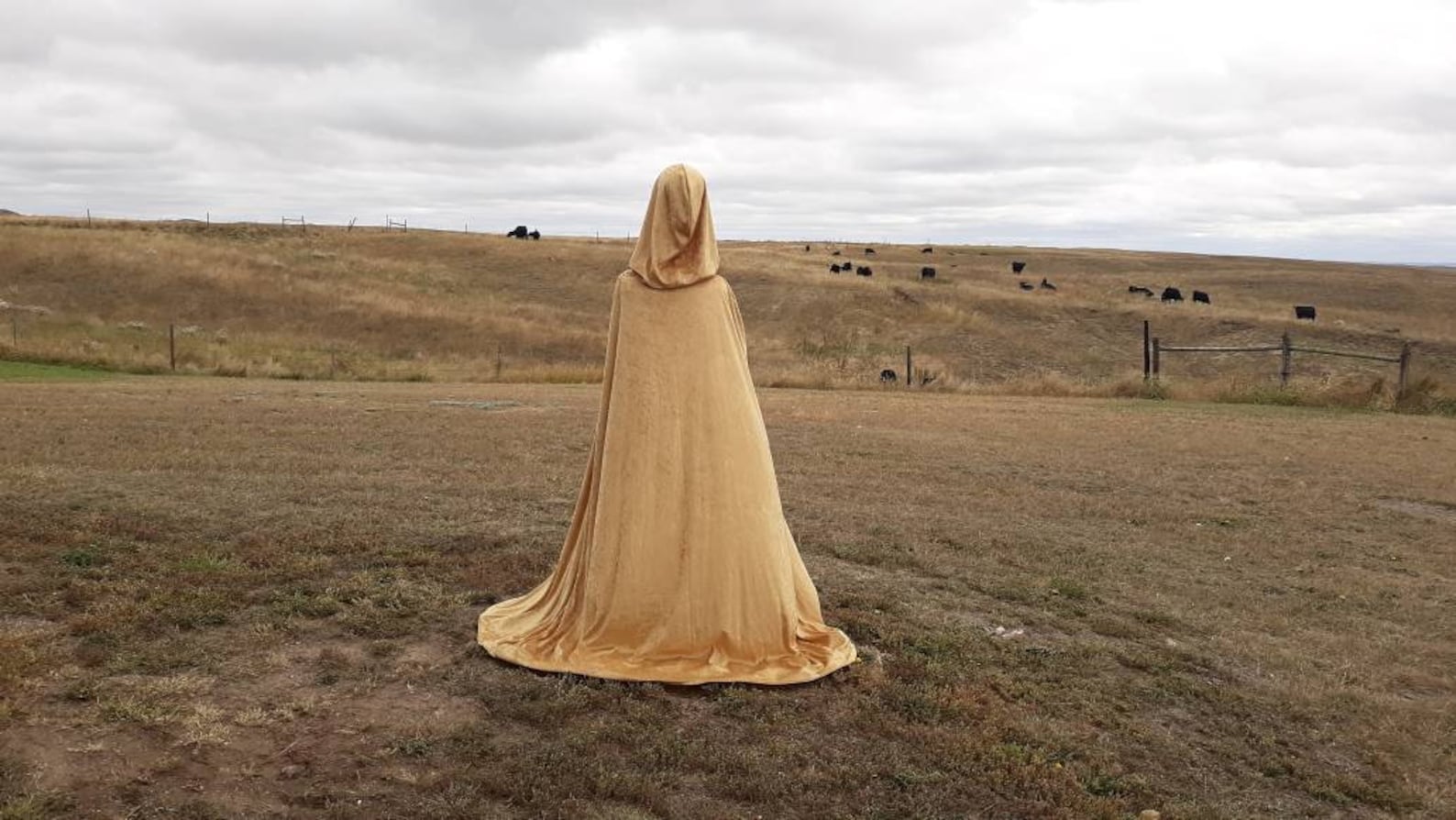 Hooded Gold Velvet Cloak Halloween Costume Wedding Renaissance Etsy UK