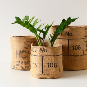 May include: Three brown burlap plant pots with black printed text. The largest pot has the text "Lot. No. 108" printed on it. The middle pot has the text "Lot. No. 108" printed on it. The smallest pot has the text "HC" printed on it. A green plant is growing in the middle pot.
