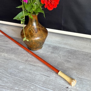 May include: A still life arrangement featuring a brown vase holding vibrant orange, red, and pink zinnias. A long, slender, red-orange riding crop with a light-colored handle rests on a wooden surface.