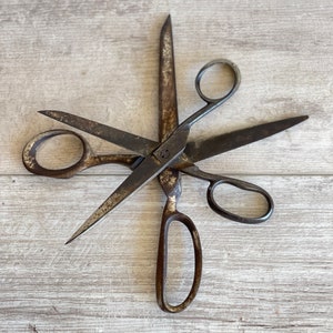 Antique Bookbinding or Leather Maker Scissors, Shears, Riveted, Hand  Forged, Maker Marked 