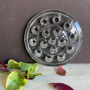 May include: Clear glass flower frog with multiple holes arranged in a circular pattern. The frog is designed to hold flower stems in place. The image also shows green and yellow leaves and red leaves.