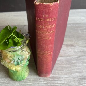 Antique Land & Game Birds Book: 1895 Illustrated 2nd Edition